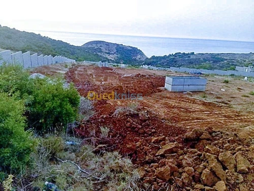 Vente Terrain Tlemcen Honaine