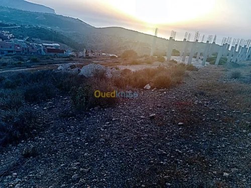 Vente Terrain Tlemcen Honaine