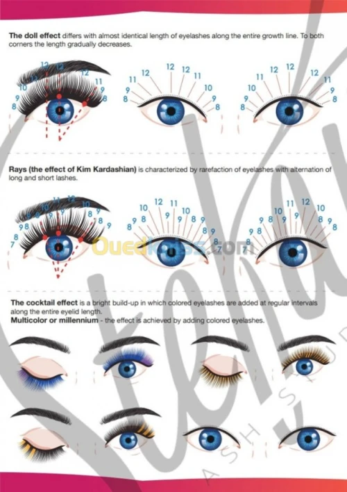 Formation extension des cils 
