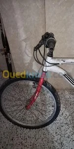 HARO24