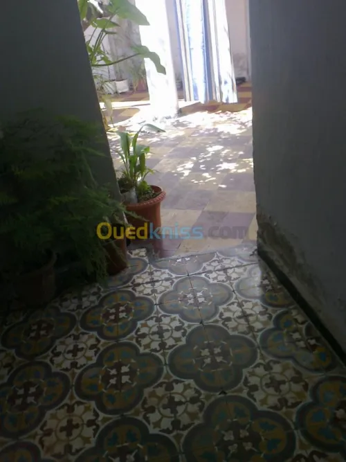 Vente Villa Chlef Chlef