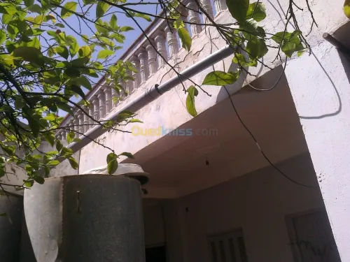 Vente Villa Chlef Chlef