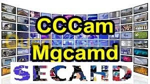 Cccam Mgcamd ⭐ gratuit ⭐ مجاني  ⭐ 