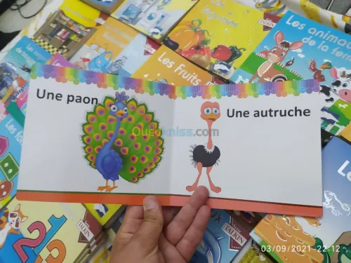 Livre en carton plastifié pour enfants