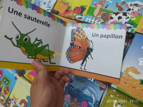 Livre en carton plastifié pour enfants
