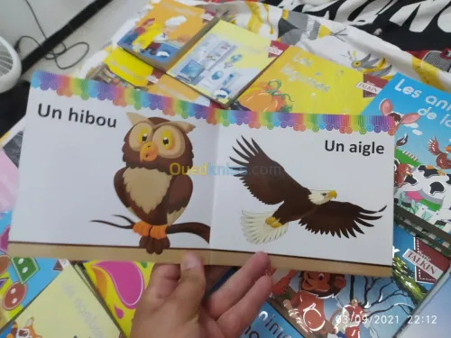 Livre en carton plastifié pour enfants