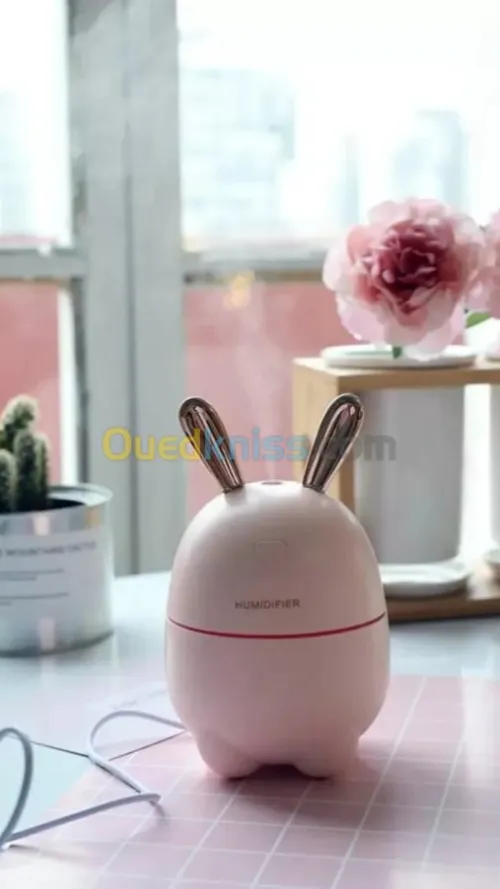 humidifier rabbit