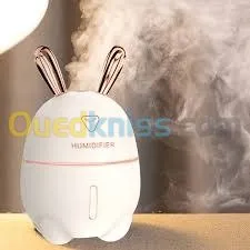 Humidifier rabbit