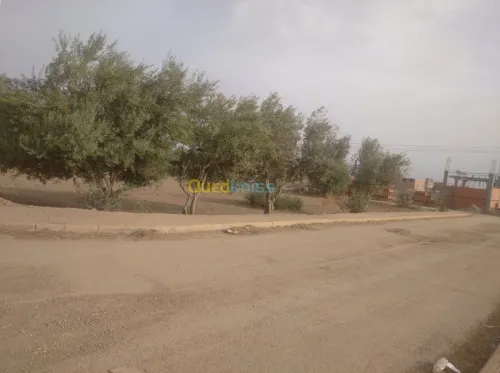 Vente Terrain Ain defla Khemis miliana