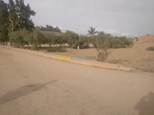 Vente Terrain Ain defla Khemis miliana