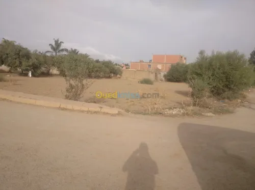 Vente Terrain Ain defla Khemis miliana