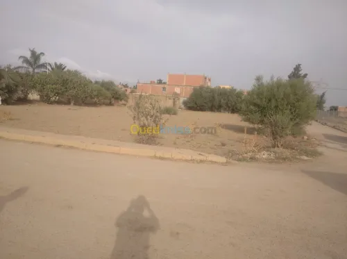 Vente Terrain Ain defla Khemis miliana