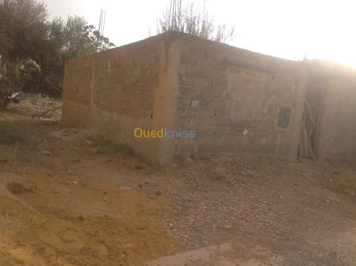 Vente Terrain Ain defla Khemis miliana