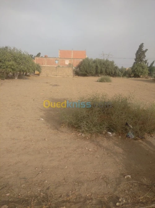 Vente Terrain Ain defla Khemis miliana