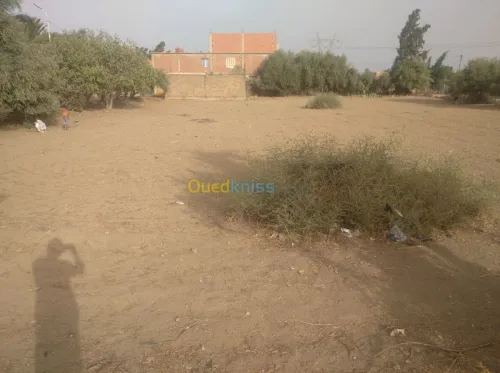 Vente Terrain Ain defla Khemis miliana