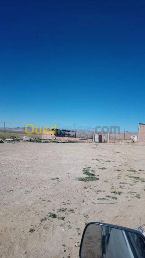Vente Terrain Agricole Biskra El outaya