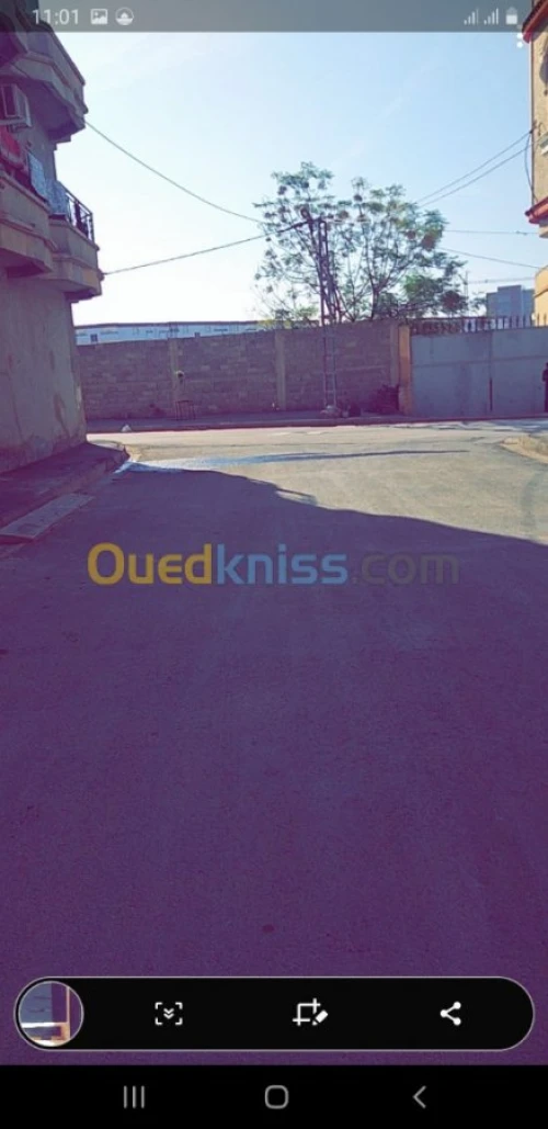 Location Villa Chlef Chlef