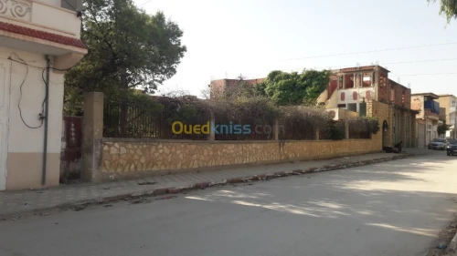 Vente Villa Tebessa Tebessa