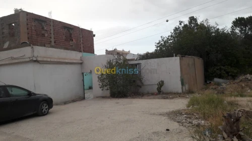 Vente Villa Tebessa Tebessa