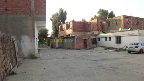 Vente Villa Tebessa Tebessa