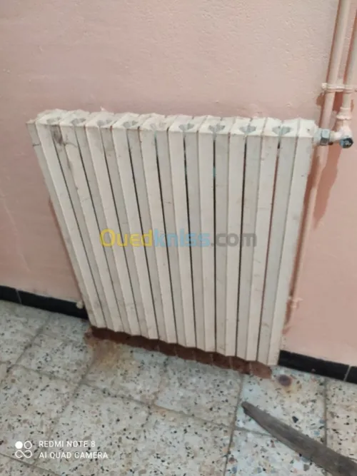 Chaudière chappee avec 10 radiateur