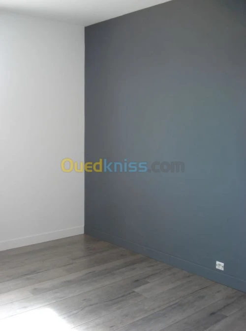 tous travaux de batiment peinture deco