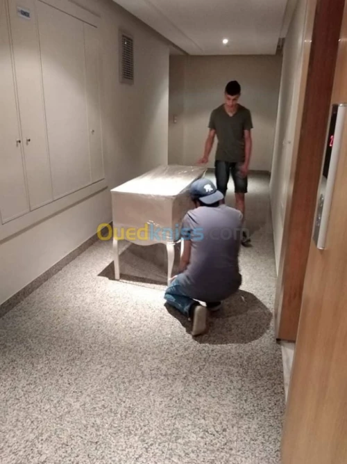 DÉMÉNAGEMENT PROFESSIONNEL__