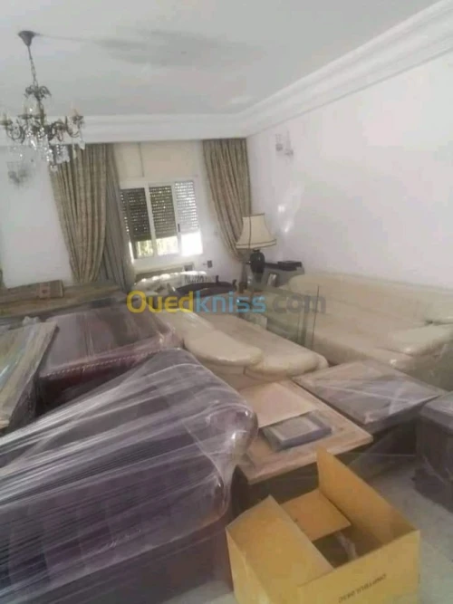 DÉMÉNAGEMENT PROFESSIONNEL__