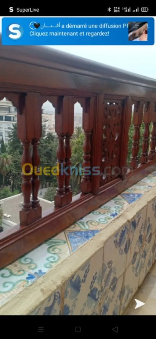 Reparation et peinture vernissage