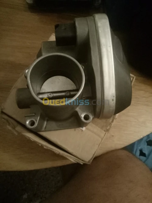 Papillion Volkswagen