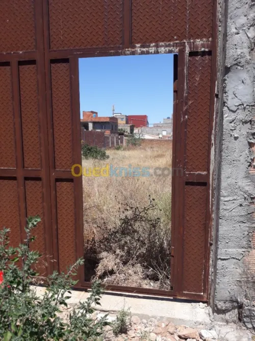 Vente Terrain Oran Gdyel