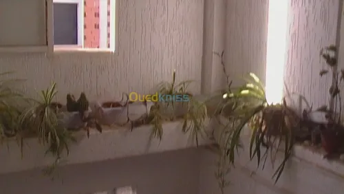 Vente Appartement F4 Mostaganem Mostaganem