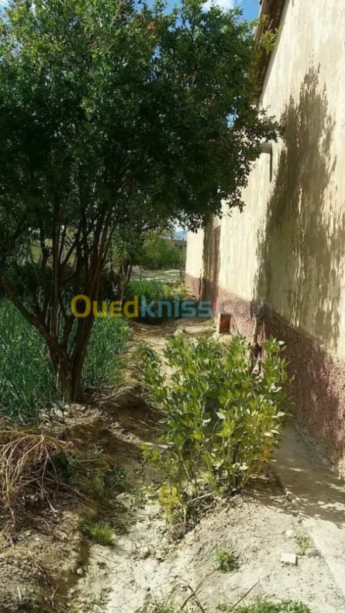 Vente Niveau De Villa F5 Batna Ngaous