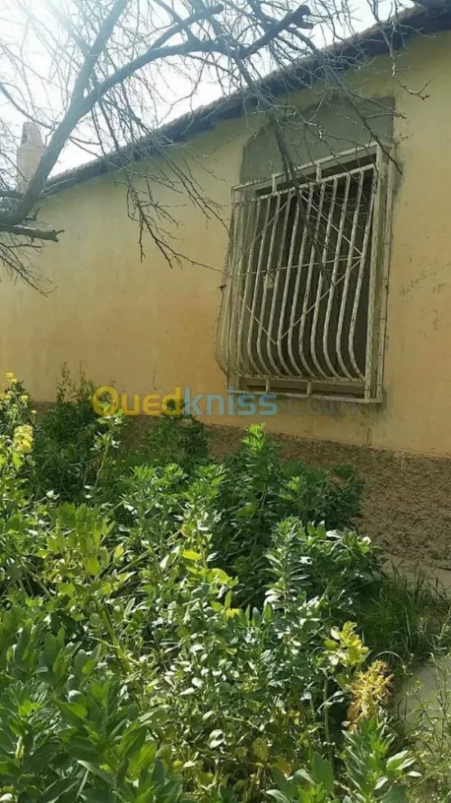 Vente Niveau De Villa F5 Batna Ngaous