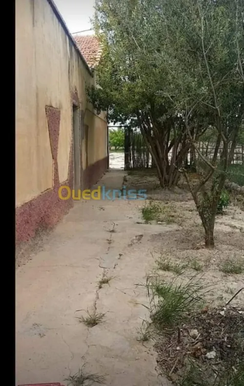 Vente Niveau De Villa F5 Batna Ngaous