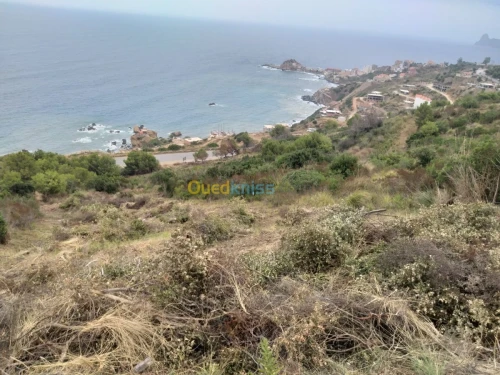 Vente Terrain Bejaia Bejaia