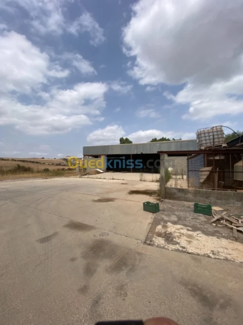 Location Usine Tizi ouzou Freha