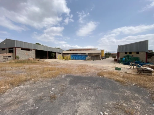 Location Usine Tizi ouzou Freha