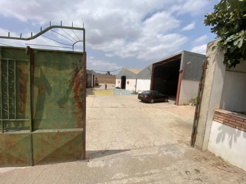 Location Usine Tizi ouzou Freha
