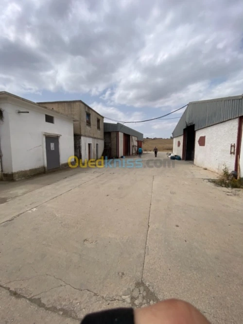 Location Usine Tizi ouzou Freha