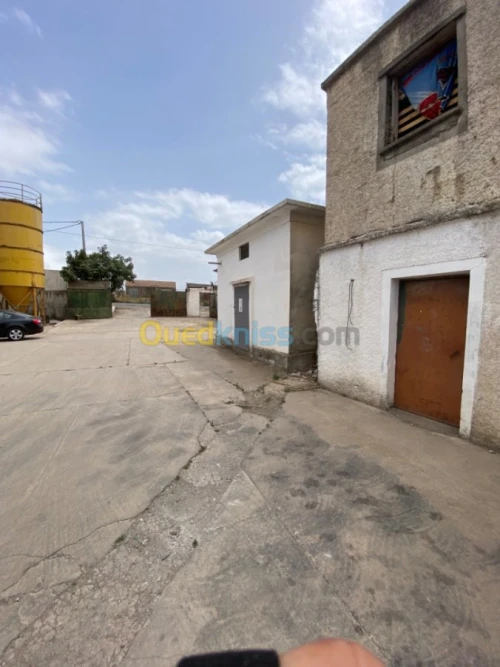Location Usine Tizi ouzou Freha