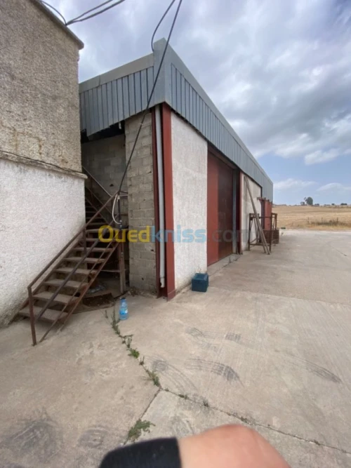 Location Usine Tizi ouzou Freha