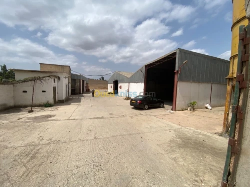 Location Usine Tizi ouzou Freha