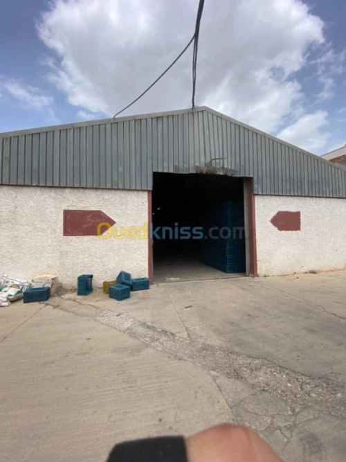 Location Usine Tizi ouzou Freha