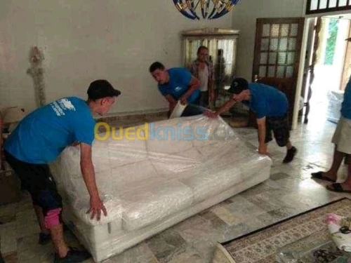 Déménagement  professionnels 