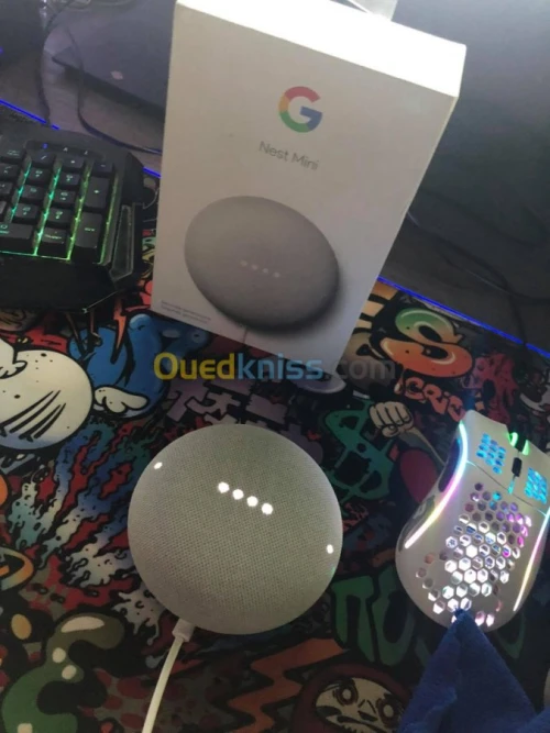 Google home