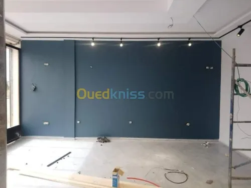 Peinture décorative