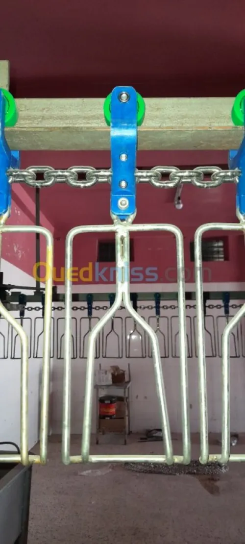 chaîne dabattage ds poulets