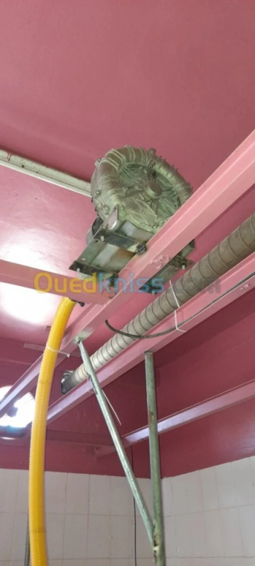 chaîne dabattage ds poulets