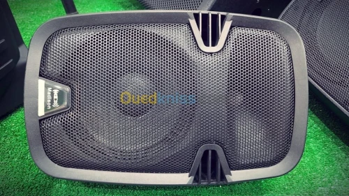 Enceinte amplifiée Madison MAD-M08-DC 